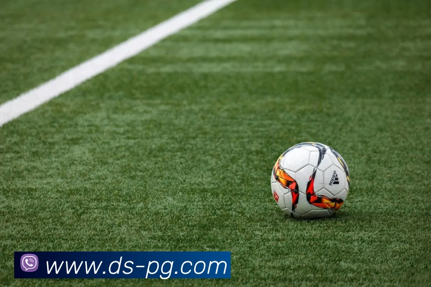 pg模拟器平台生态图